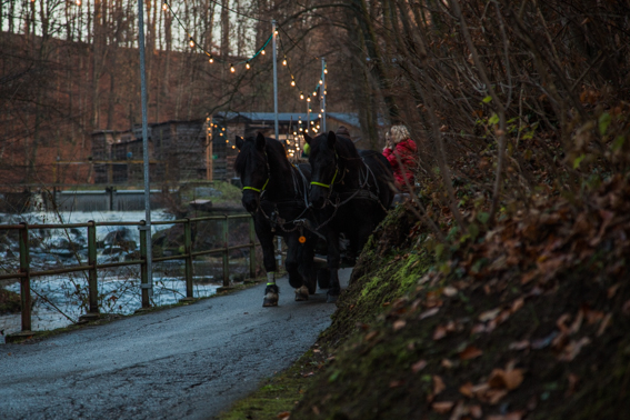 Advent im S?gewerk Kutschenfahrten St. Georgen